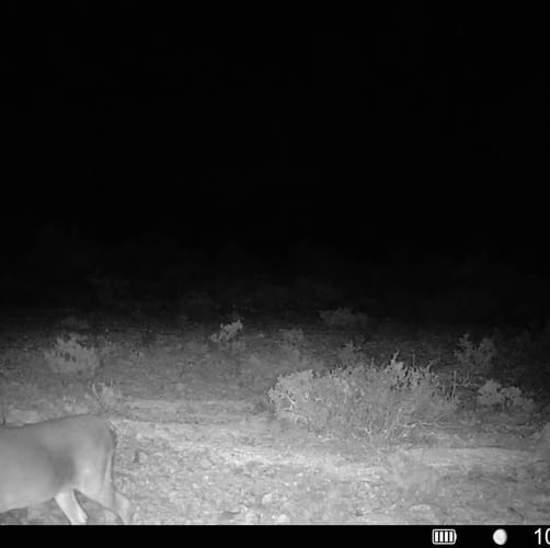 Pumpville Ranch Tract 51