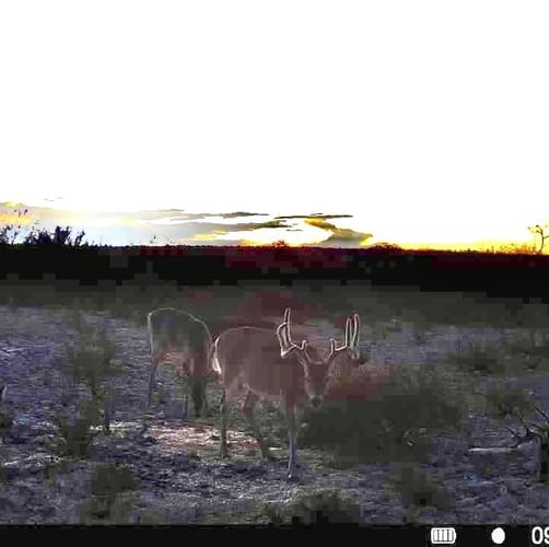 Pumpville Ranch Tract 27