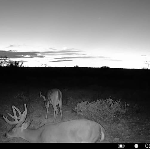 Pumpville Ranch Tract 27
