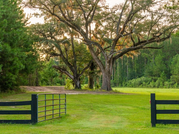 Battlefield Plantation