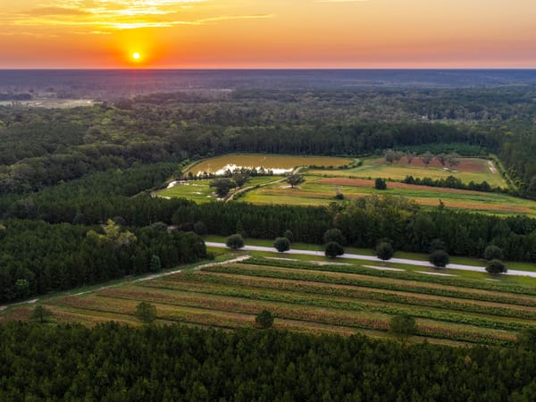 Battlefield Plantation
