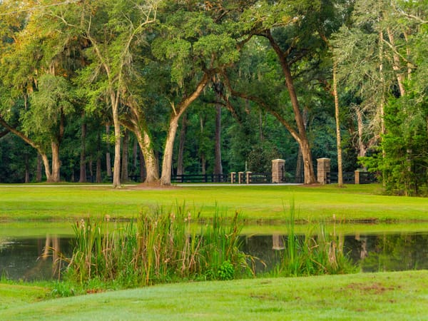 Battlefield Plantation