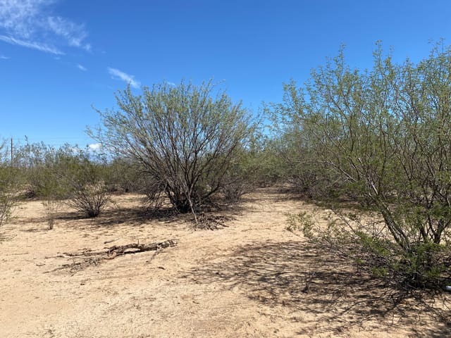 ±15 AC,  6515 N Trico Road, Marana, AZ 85653