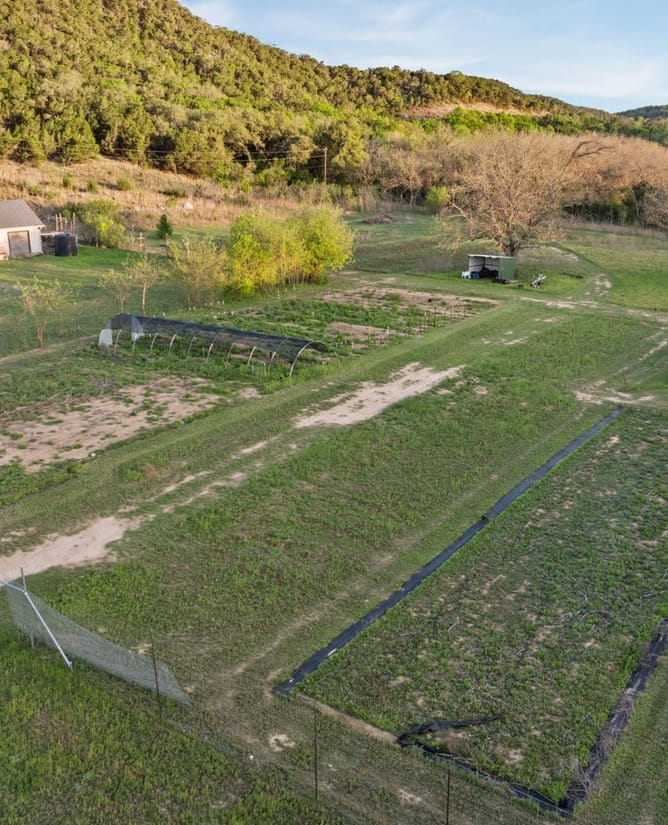 Private 15-Acre Creekside Hill Country Property | Offered at Land Value | Wildlife Exemption