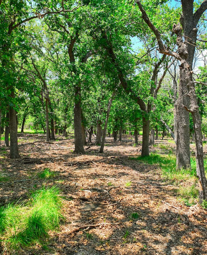 8526 Hwy 90 W