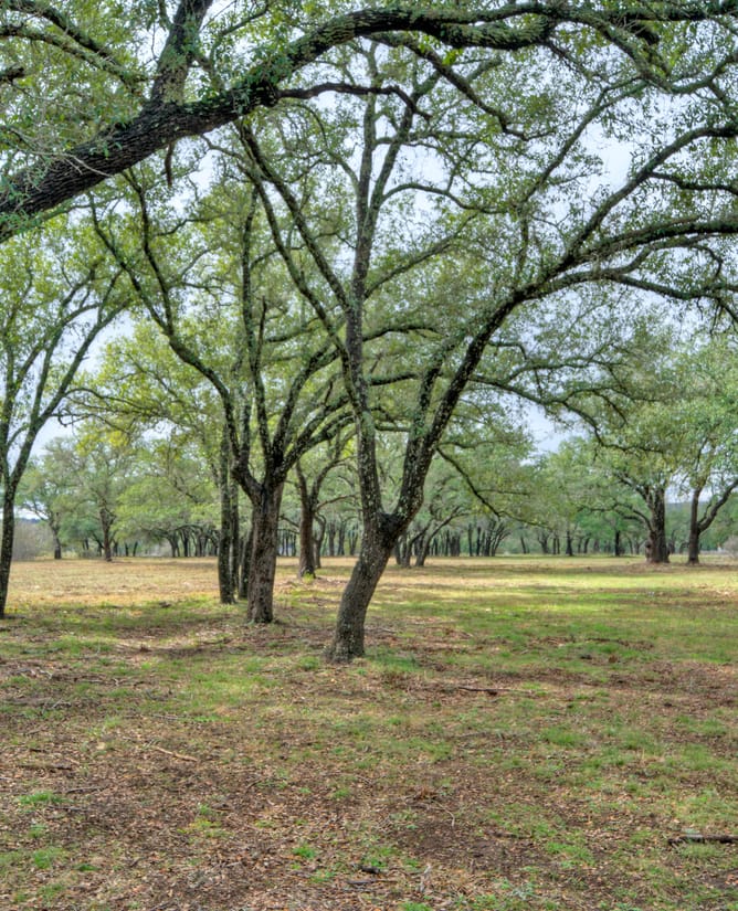 24701 Pedernales Canyon Trl Lot 4