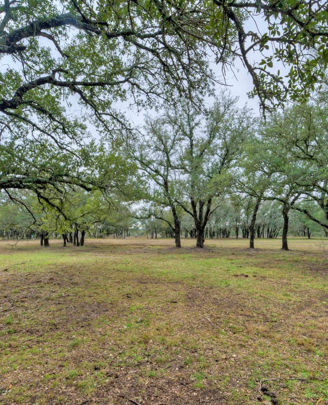 24701 Pedernales Canyon Trl Lot 4