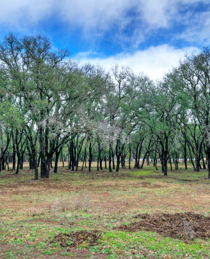 24701 Pedernales Canyon Trl Lot 4