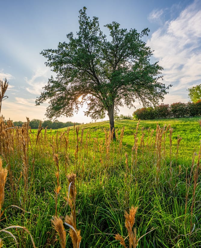 Goose Lake Ranch | 10 Acre Lake Loaded with Wildlife + Ranch House