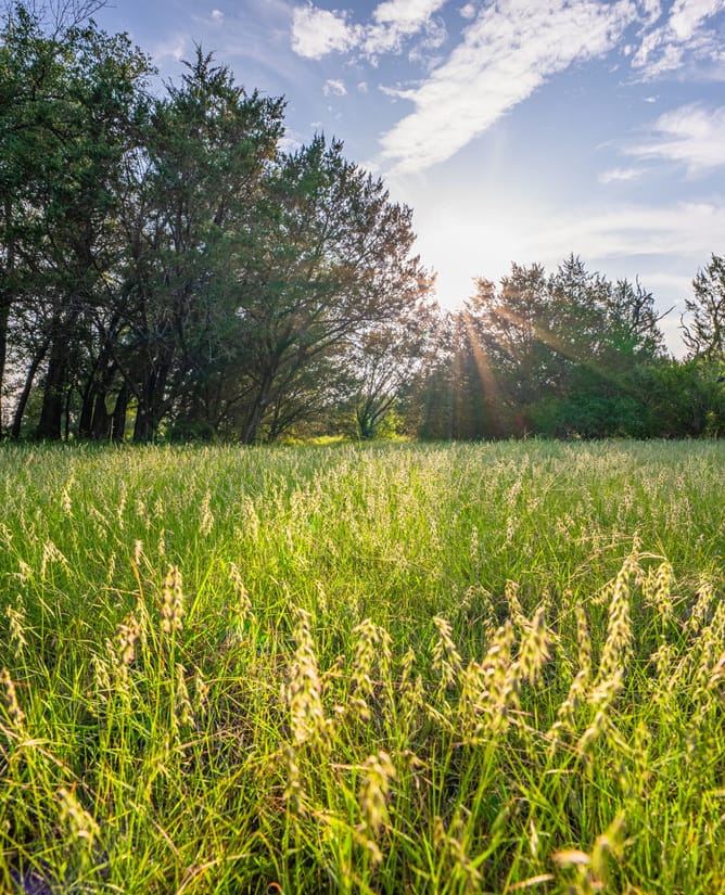 Goose Lake Ranch | 10 Acre Lake Loaded with Wildlife + Ranch House