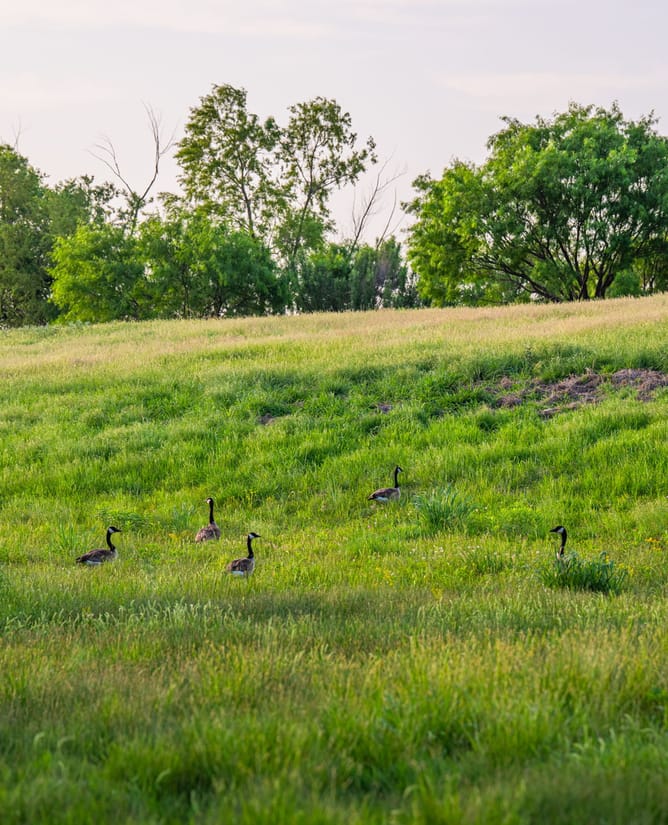 Goose Lake Ranch | 10 Acre Lake Loaded with Wildlife + Ranch House