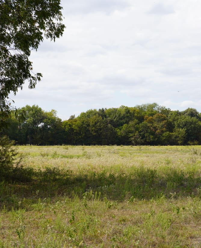 Groesbeck, TX 127.53 AC
