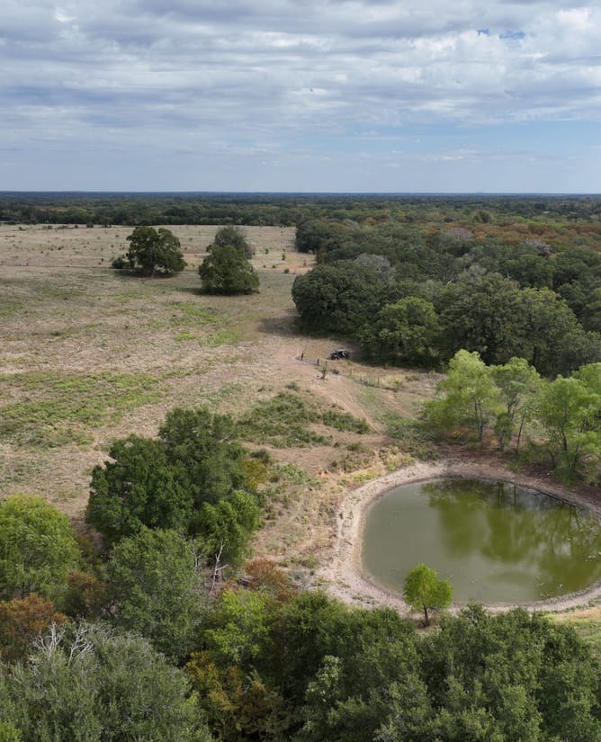 Groesbeck, TX 127.53 AC