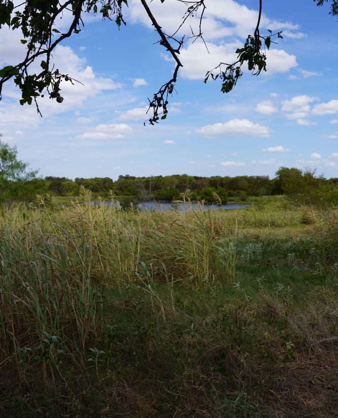 Groesbeck, TX 127.53 AC