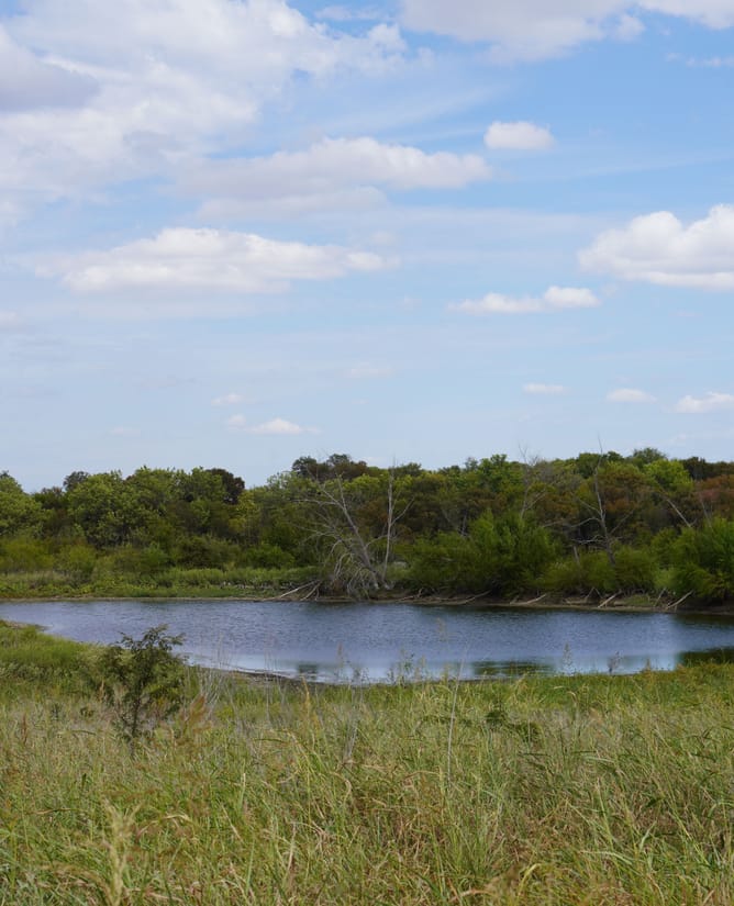 Groesbeck, TX 127.53 AC