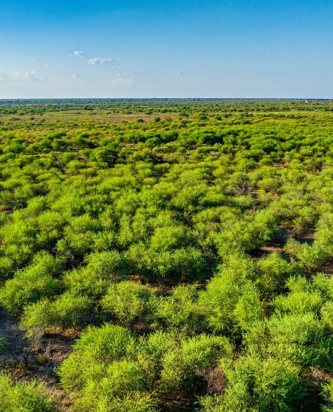 Prime South Texas Hunting | Close to Bay & Deep Sea Fishing