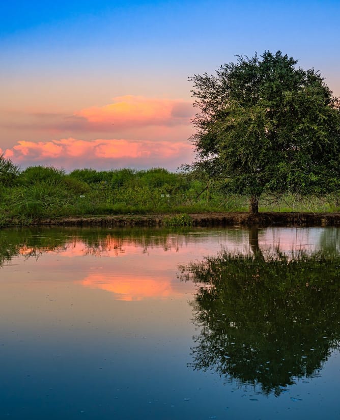 Prime South Texas Hunting | Close to Bay & Deep Sea Fishing