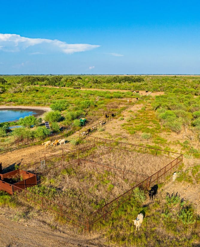 Prime South Texas Hunting | Close to Bay & Deep Sea Fishing