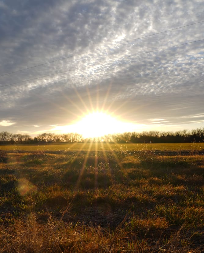 Celeste, TX Development / Commercial Property 35 AC