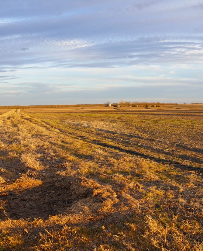 Celeste, TX Development / Commercial Property 35 AC
