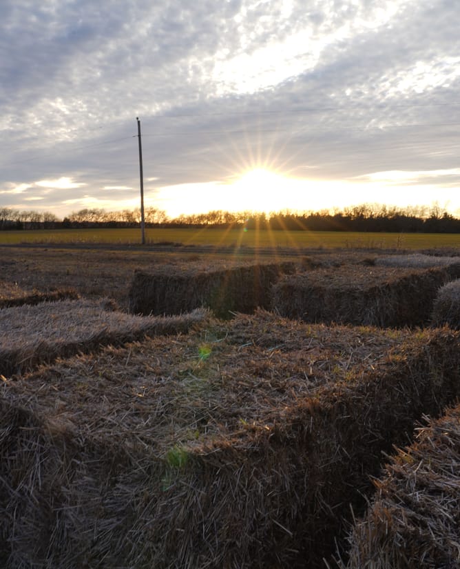 Celeste, TX Development / Commercial Property 35 AC