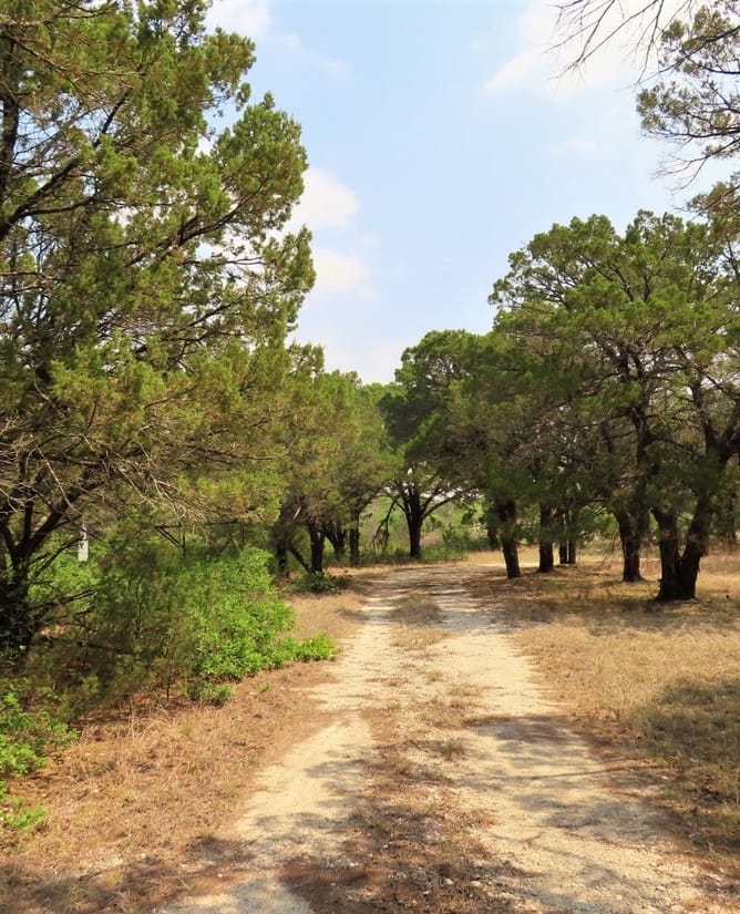 Bosque County