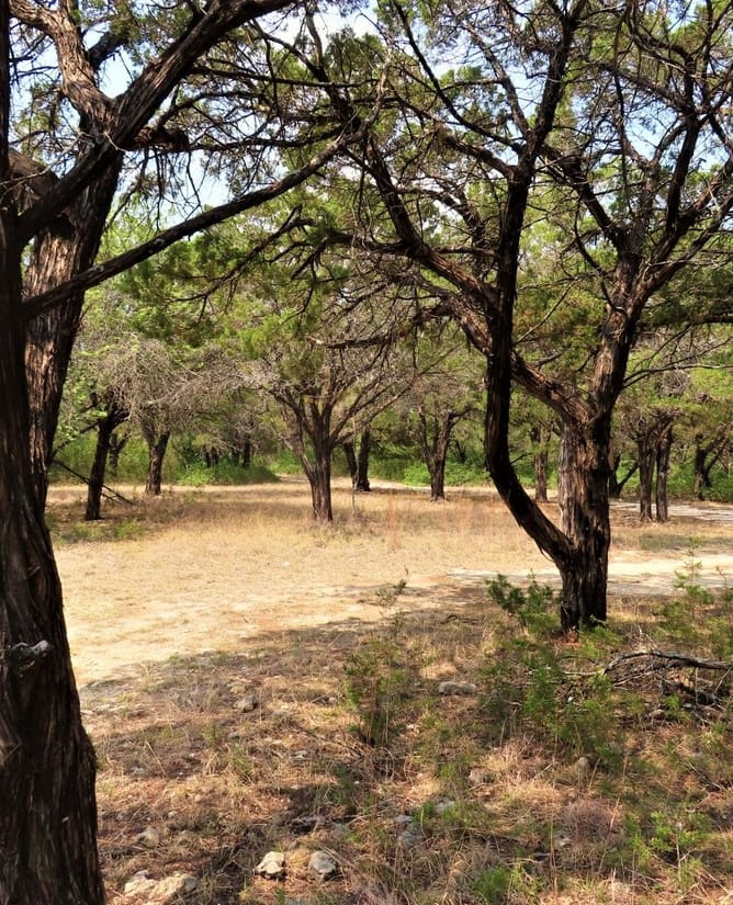 Bosque County