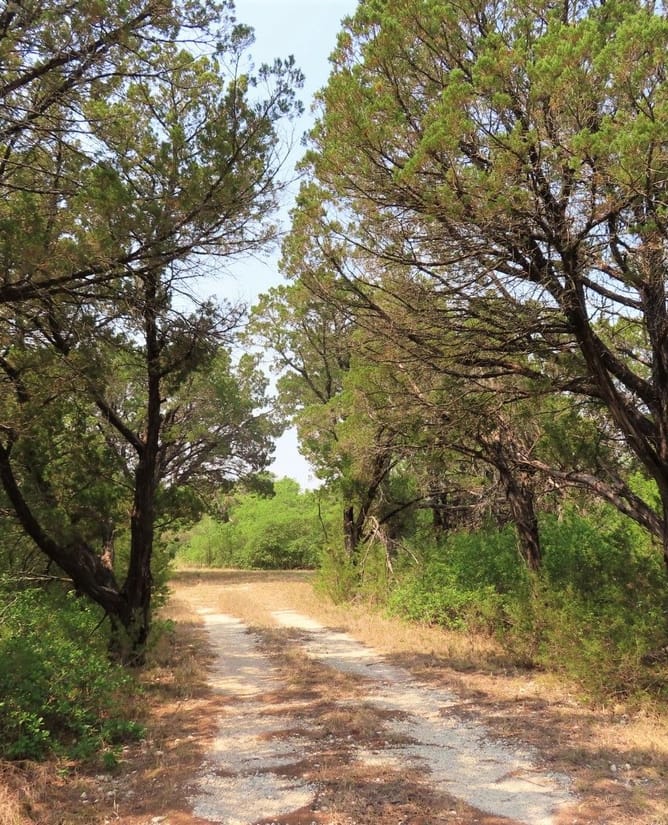 Bosque County