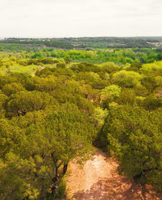 Bosque County