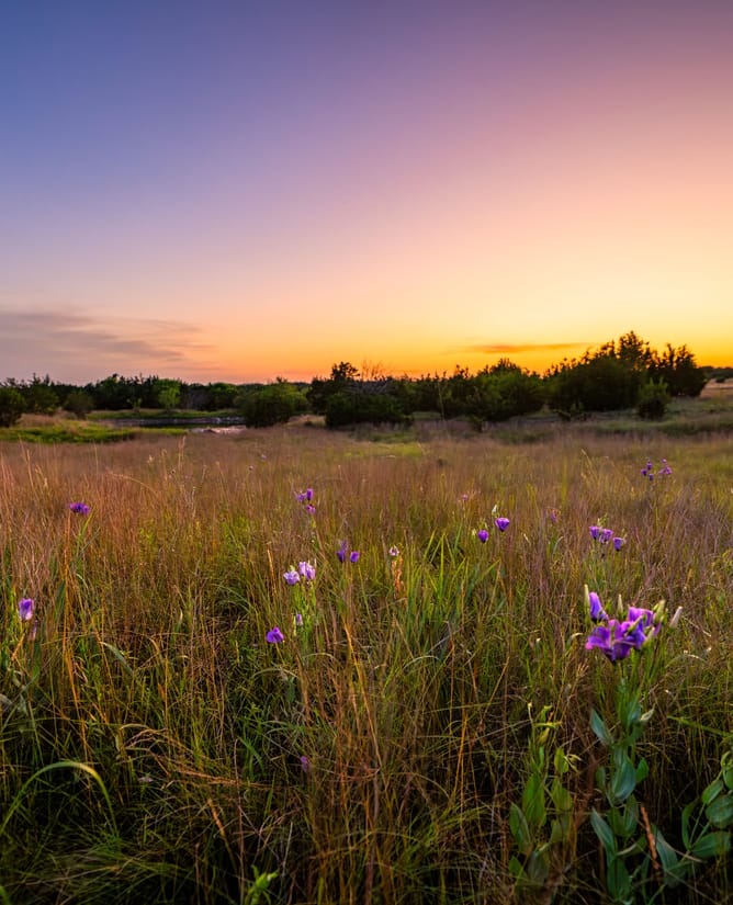 97.34 Acres | Lampasas County