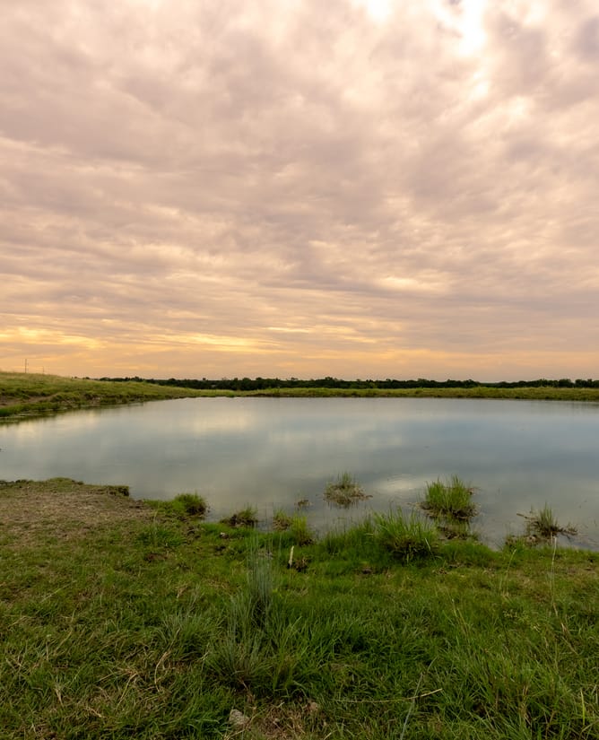 Versatile Ranch with 3,100 ft of Creek | Only 12 mins From Temple