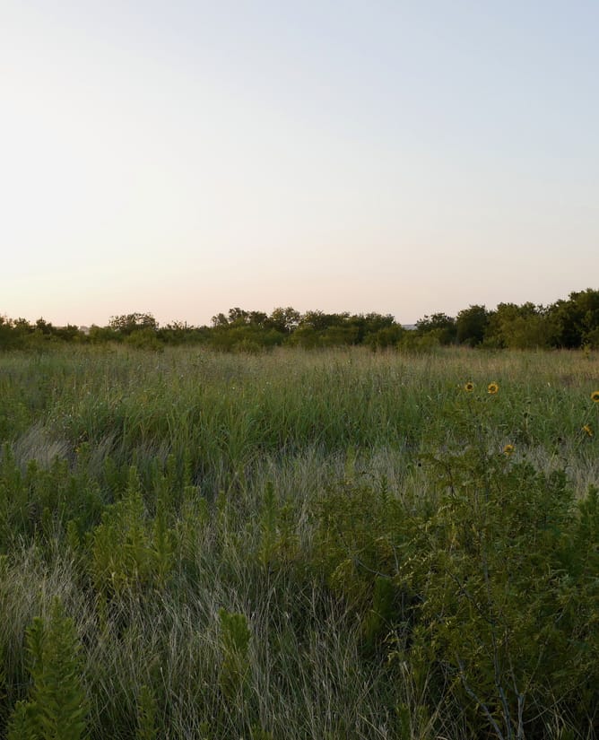 Creedmoor, TX 14.728 AC
