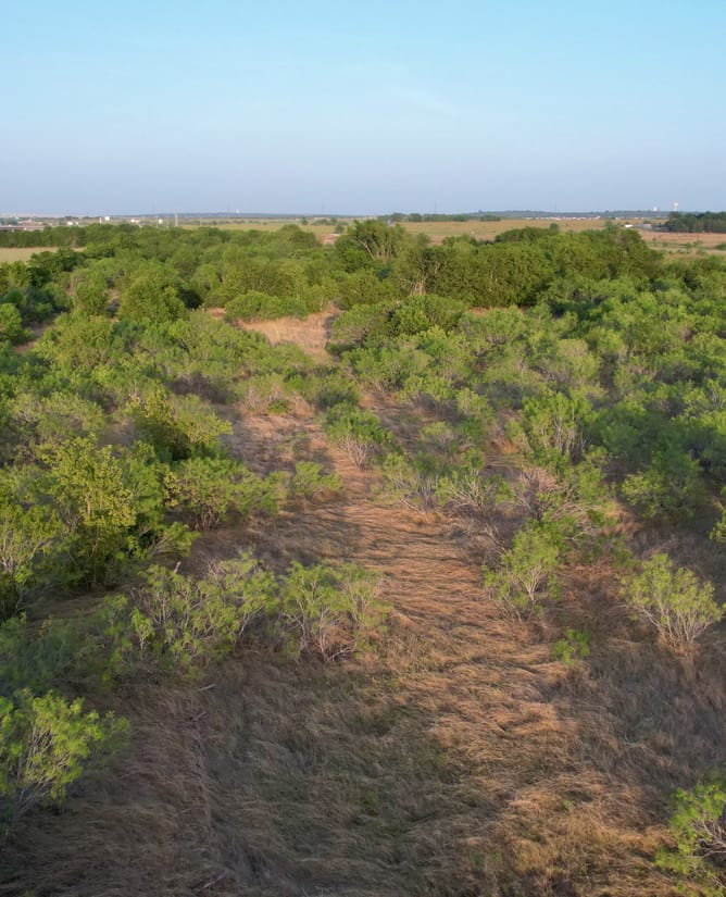 Creedmoor, TX 14.728 AC