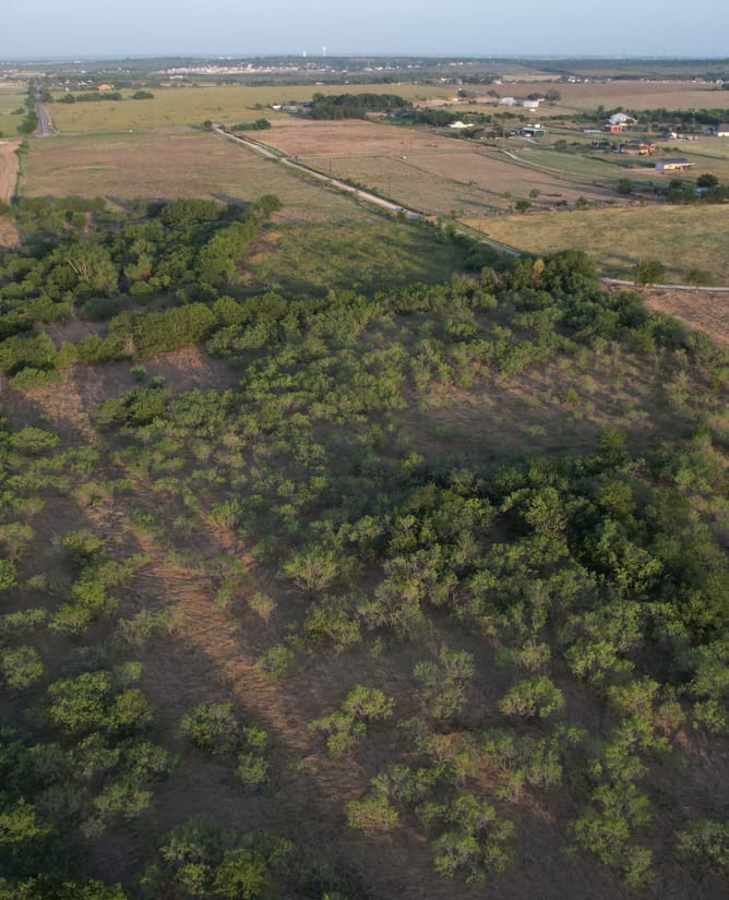 Creedmoor, TX 14.728 AC