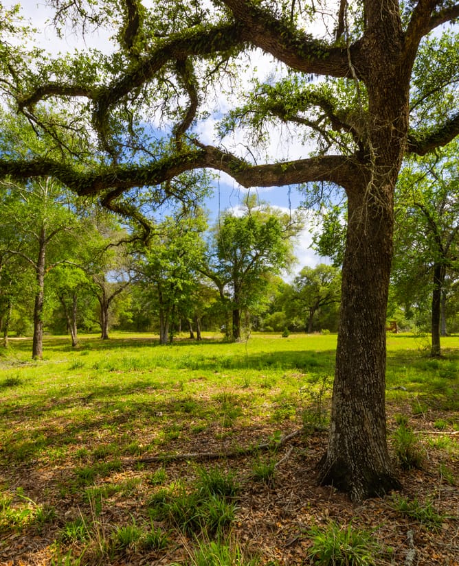 40 Acre Country Retreat | 1.5 hrs to Houston 2 hrs to Austin