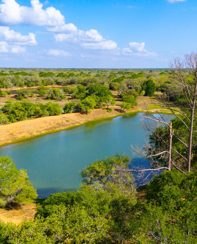 40 Acre Country Retreat | 1.5 hrs to Houston 2 hrs to Austin