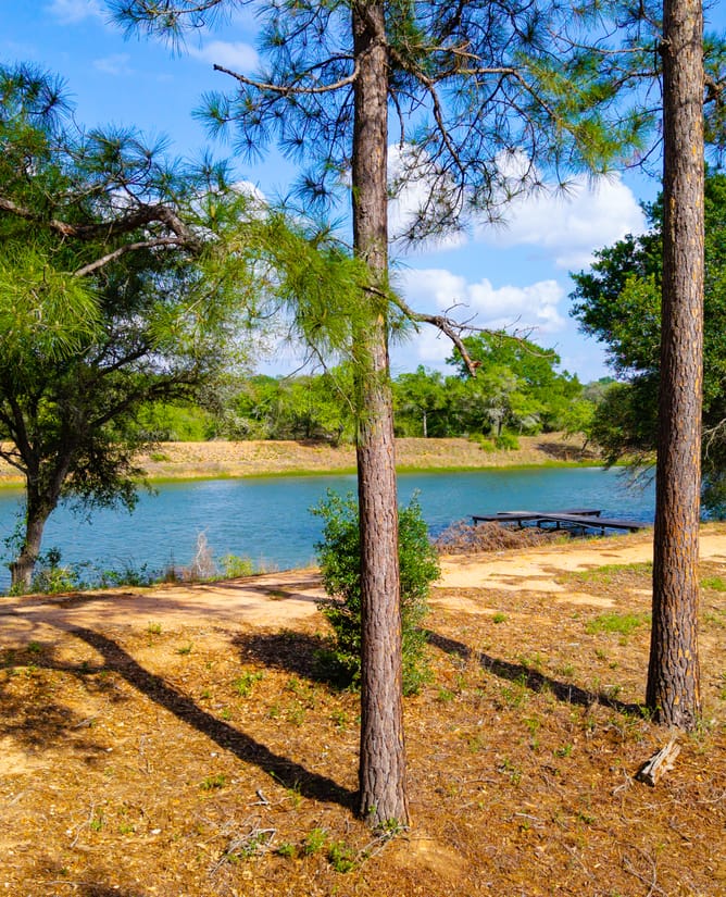 40 Acre Country Retreat | 1.5 hrs to Houston 2 hrs to Austin