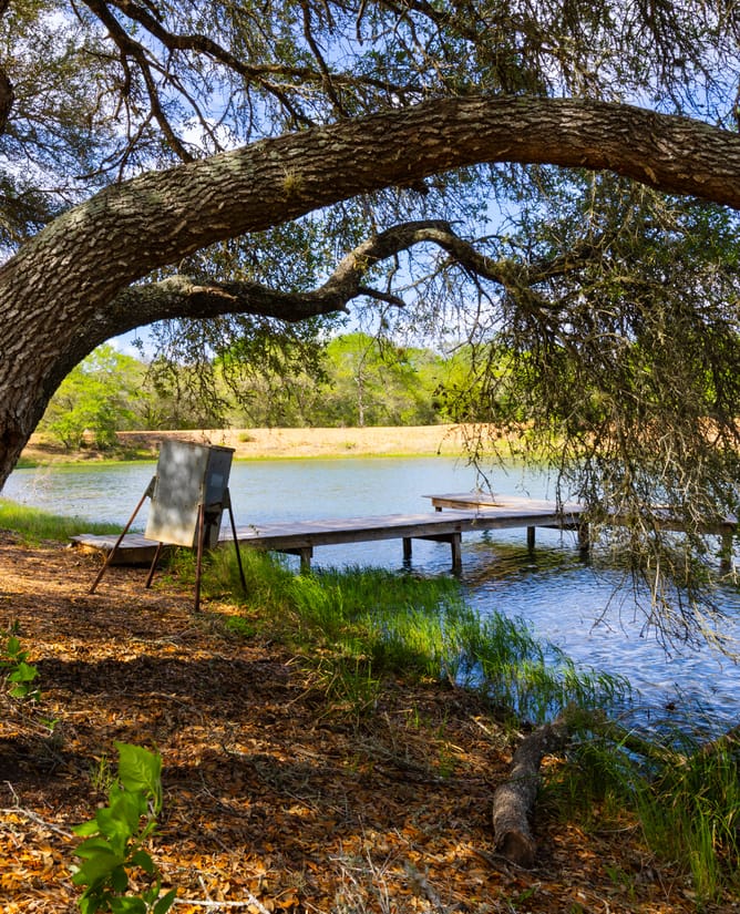 40 Acre Country Retreat | 1.5 hrs to Houston 2 hrs to Austin