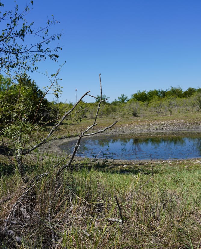 12639 Glass Road | 20 Acres in Buda