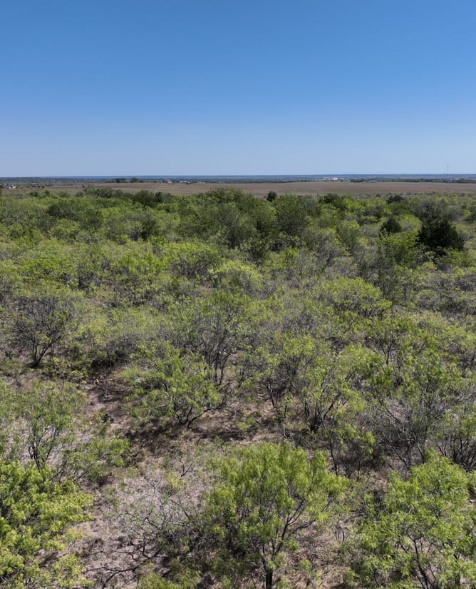 12639 Glass Road | 20 Acres in Buda