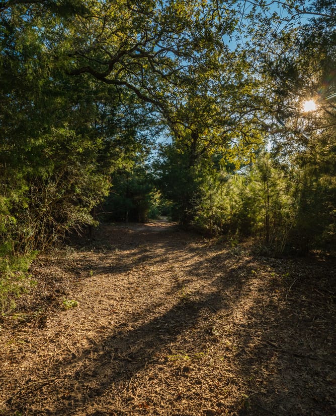 Lot 44 Bannon Ranch | 11+ Acres in Lexington