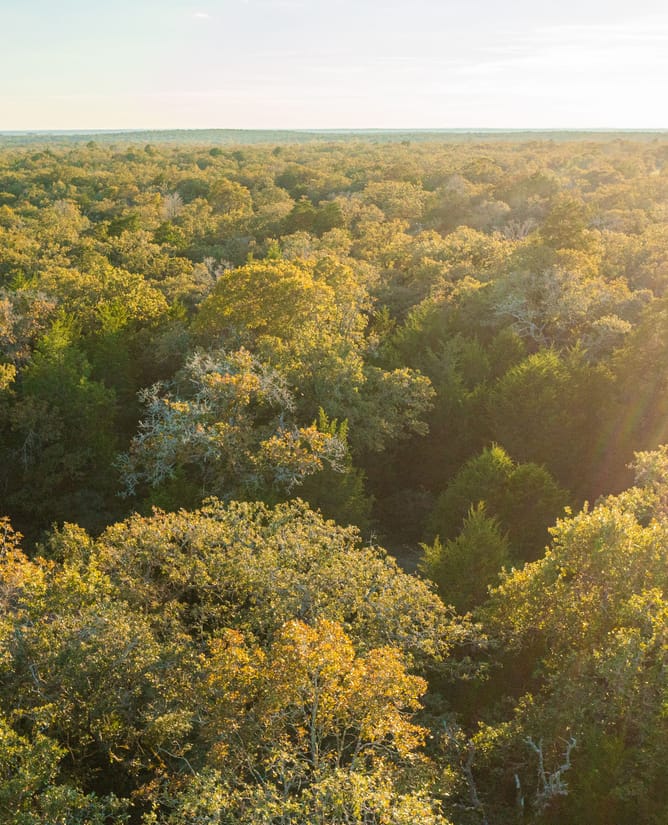 Lot 44 Bannon Ranch | 11+ Acres in Lexington