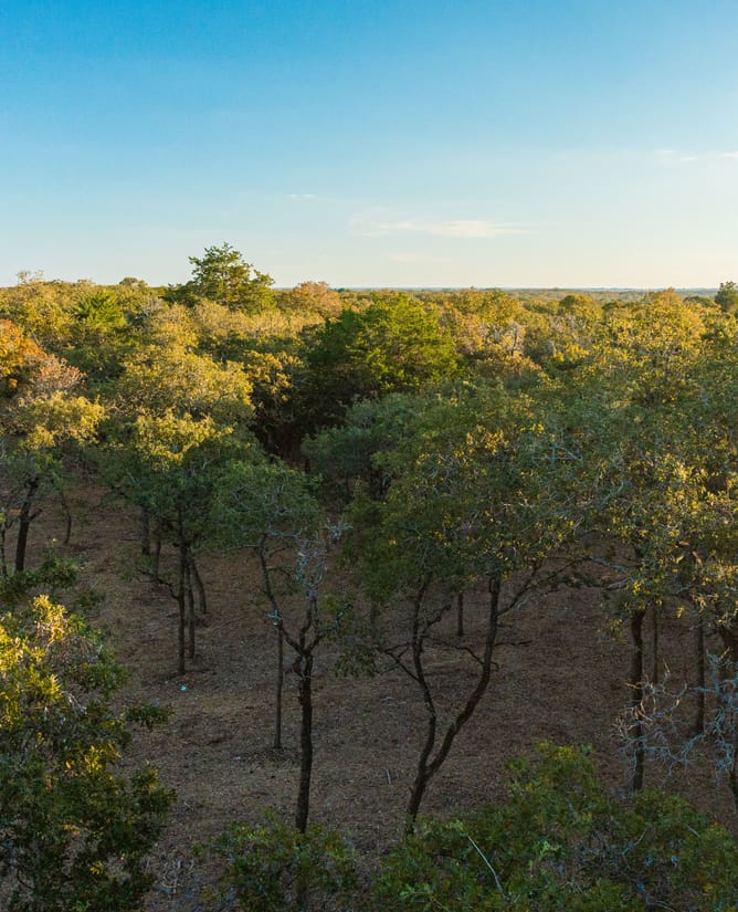 Lot 44 Bannon Ranch | 11+ Acres in Lexington