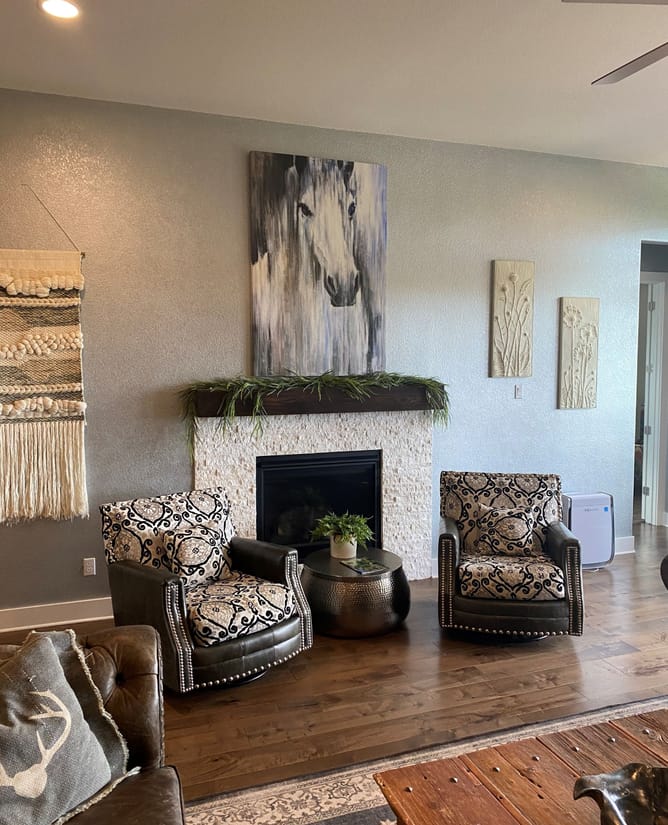 Gato Del Sol - Hill Country Living