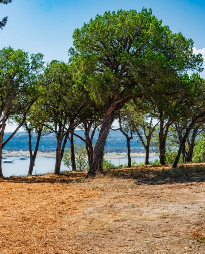 720 S Angel Light Dr