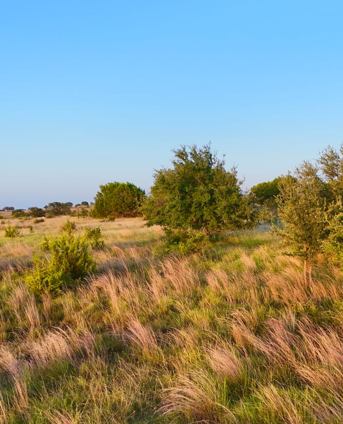 10.75 Acres Summit Springs  | Burnet County