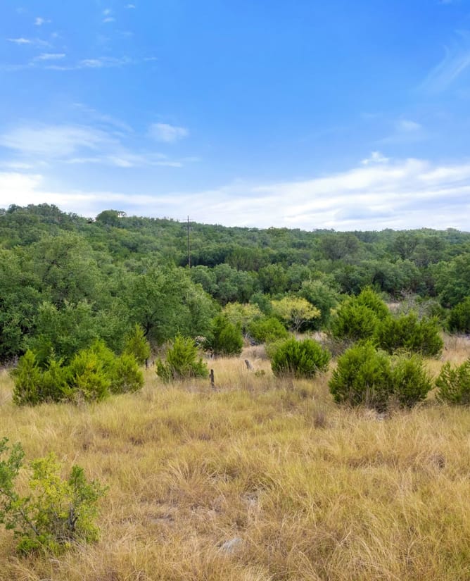 TBD Brock Hollow Dr | 7+/- Acres