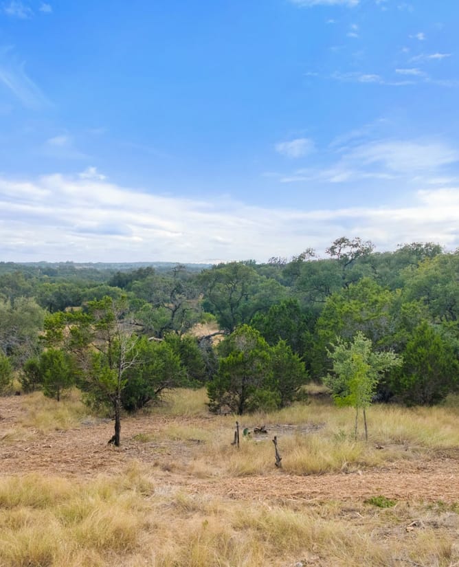 TBD Brock Hollow Dr | 7+/- Acres