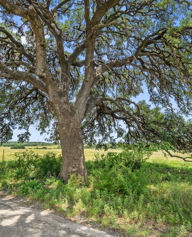4252 Cypress Mill Rd Johnson City, TX - 14 acres