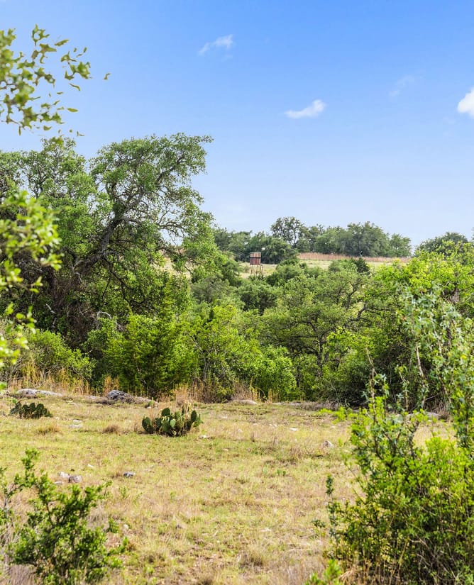 5541 W Highway 290